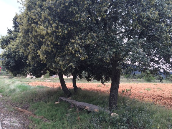 Foto 7-5-16 14 05 08