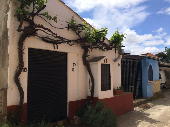 Foto 12-5-16 13 33 43