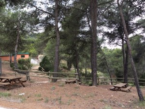 Foto 7-5-16 14 01 23