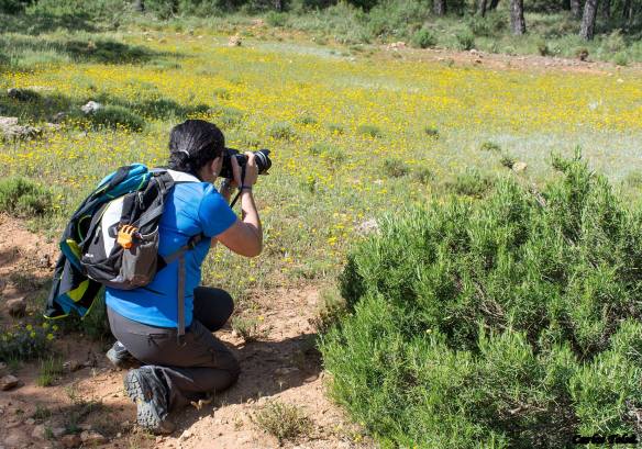 Fotos: Carlos Tolsá