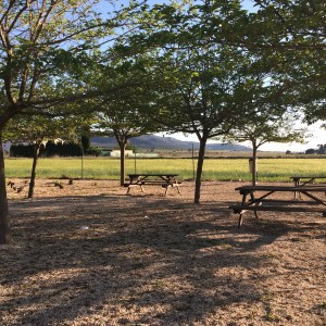 Foto 3-5-16 19 38 34