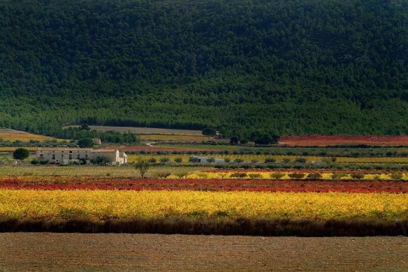 Foto: Miquel Francés