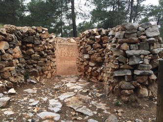 Foto 7-5-16 13 39 07