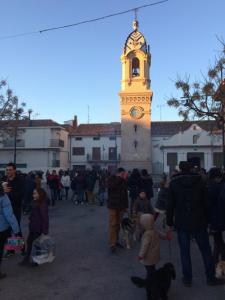 Benedicció dels animals 